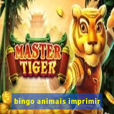 bingo animais imprimir